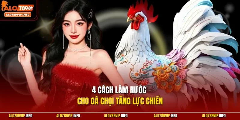 4 cách làm nước cho gà chọi tăng lực chiến