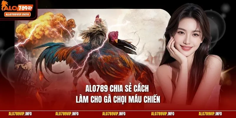 ALO789 chia sẻ cách làm cho gà chọi máu chiến