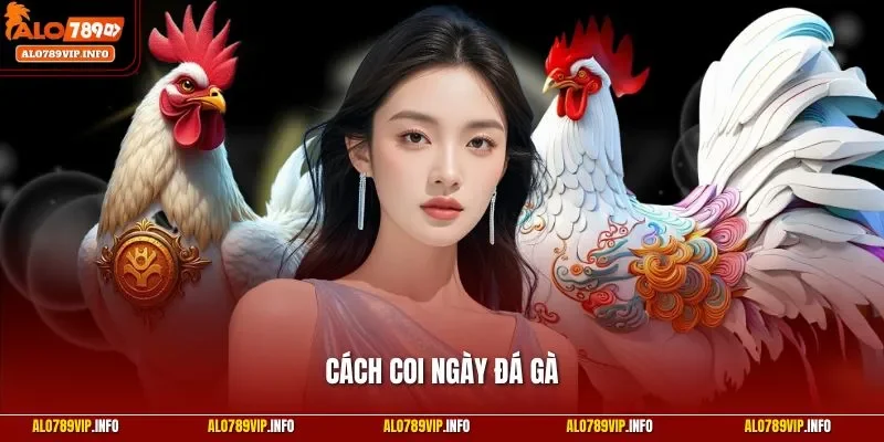 Cách coi ngày đá gà
