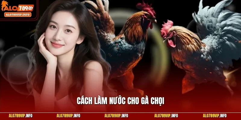 Cách làm nước cho gà chọi