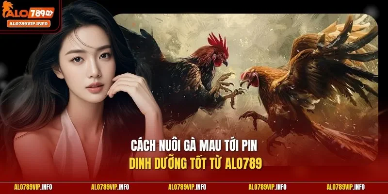 Cách nuôi gà mau tới pin dinh dưỡng tốt từ ALO789