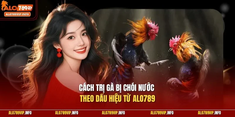 Cách trị gà bị chói nước theo dấu hiệu từ ALO789