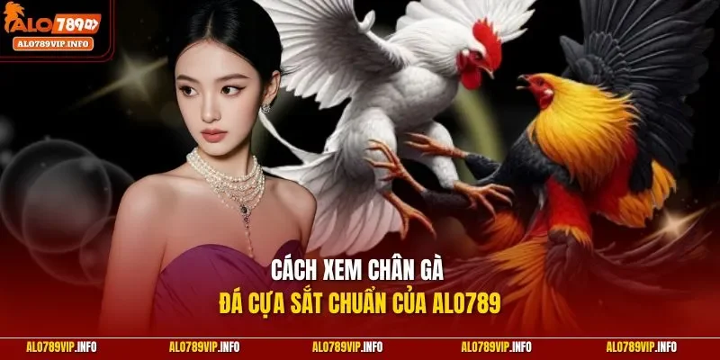 Cách xem chân gà đá cựa sắt chi tiết gân