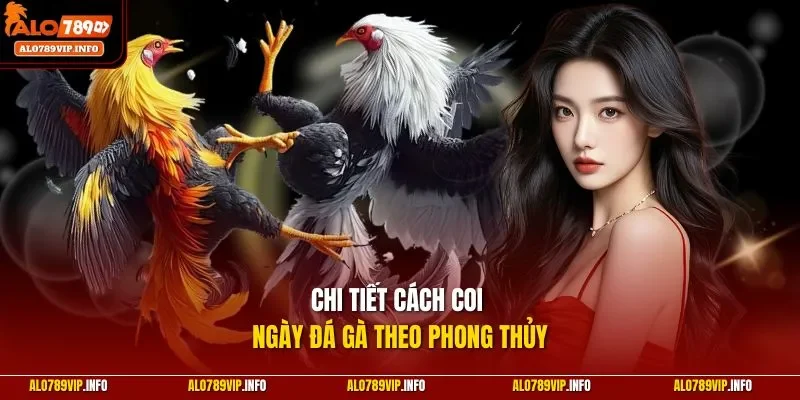 Chi tiết cách coi ngày đá gà theo phong thủy