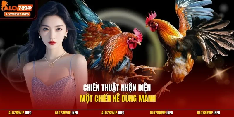 Chiến thuật nhận diện một chiến kê dũng mãnh