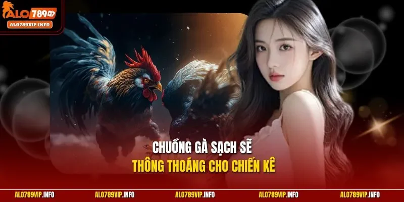 Chuồng gà sạch sẽ thông thoáng cho chiến kê