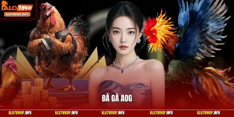 Đá gà AOG