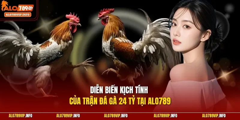 Diễn biến kịch tính của trận đá gà 24 tỷ tại ALO789