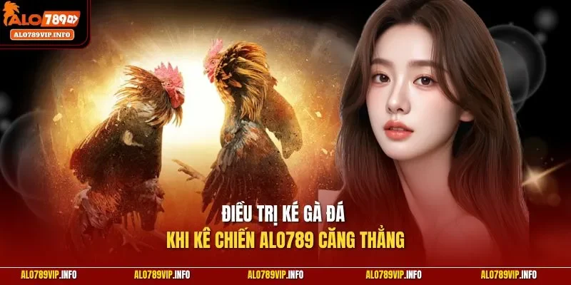 Điều trị ké gà đá khi kê chiến ALO789 căng thẳng