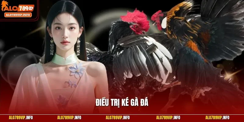 Điều trị ké gà đá