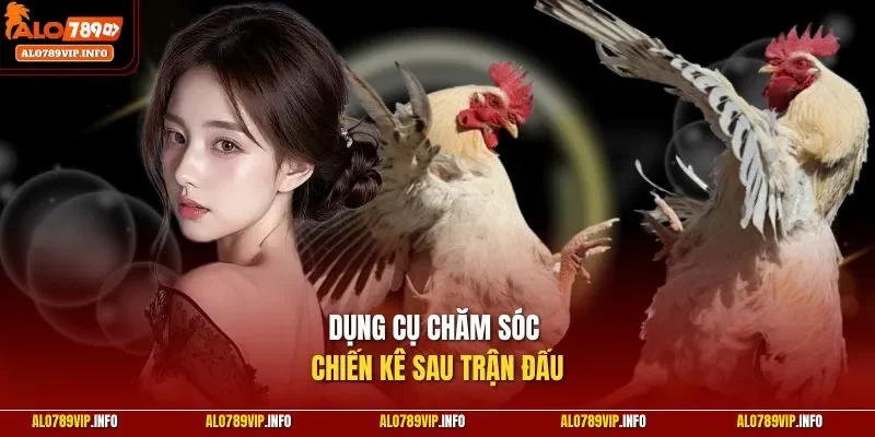 Dụng cụ chăm sóc chiến kê sau trận đấu