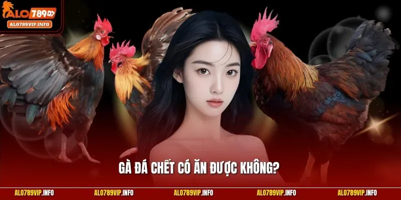 Gà đá chết có ăn được không