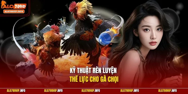 Kỹ thuật rèn luyện thể lực cho gà chọi