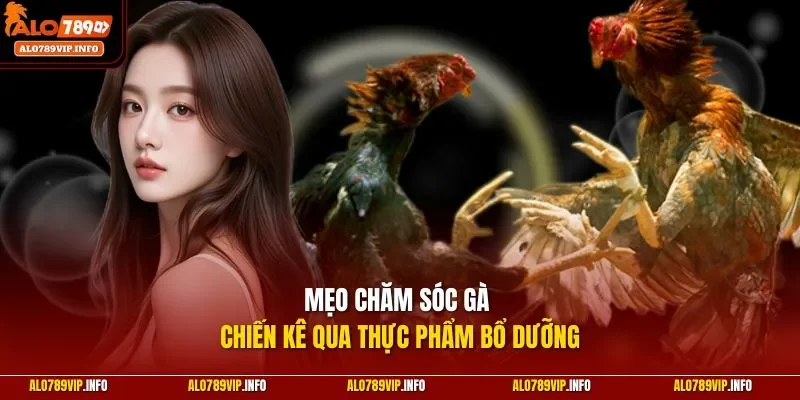Mẹo chăm sóc gà chiến kê qua thực phẩm bổ dưỡng