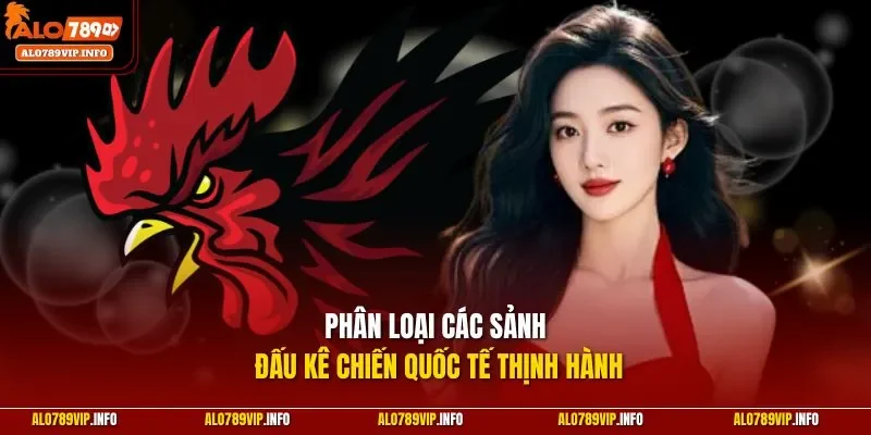 Phân loại các sảnh đấu kê chiến quốc tế thịnh hành