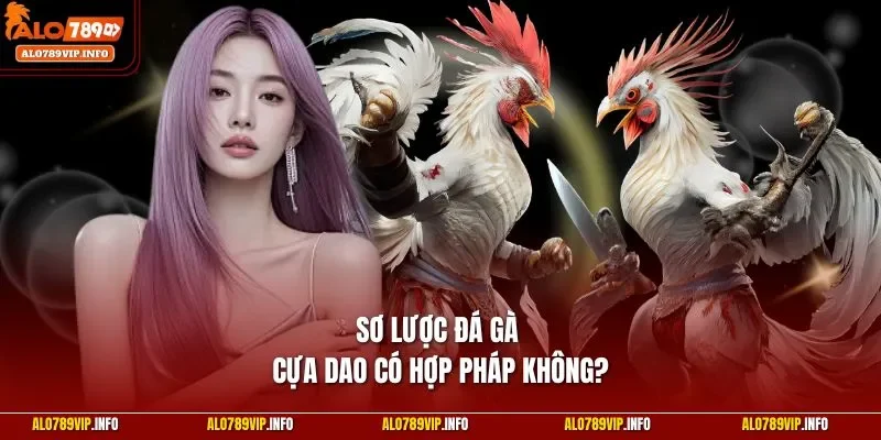 Sơ lược đá gà cựa dao có hợp pháp không?