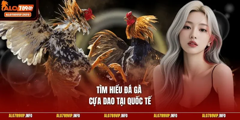 Tìm hiểu đá gà cựa dao tại quốc tế
